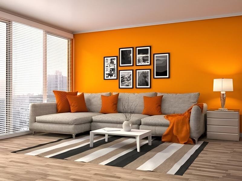 Chủ nhà mệnh Hỏa có thể sử dụng màu cam để làm nổi bật không gian nội thất tại các vị trí như gối, một mảng tường.