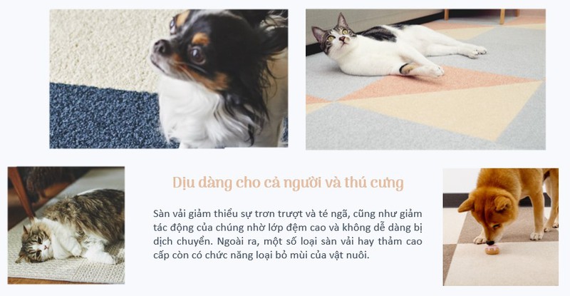 2-lua-chon-tham-cho-nha-co-thu-cung-1660638811.jpg